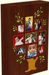 Box Type Photo Insert LED Frame - BXPI 10